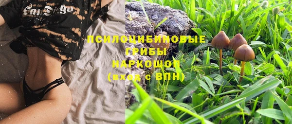 молекула духа Куйбышев