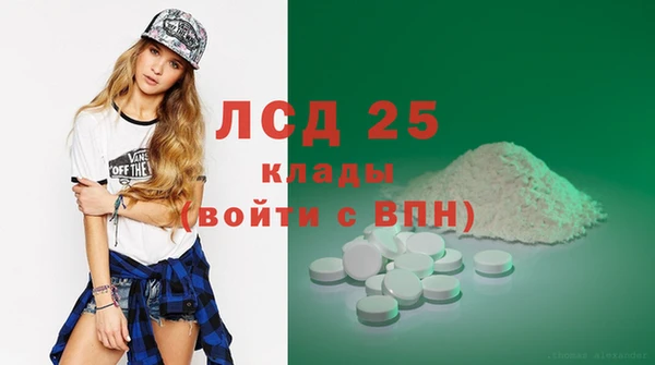 ГАЛЛЮЦИНОГЕННЫЕ ГРИБЫ Кулебаки