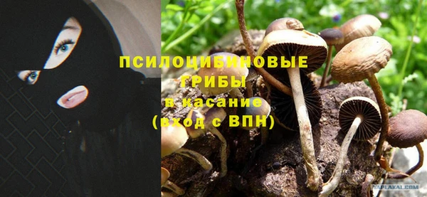 дурь Кукмор