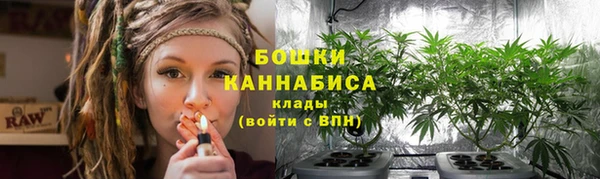 ГАЛЛЮЦИНОГЕННЫЕ ГРИБЫ Кулебаки