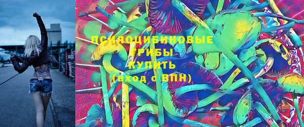 молекула духа Куйбышев
